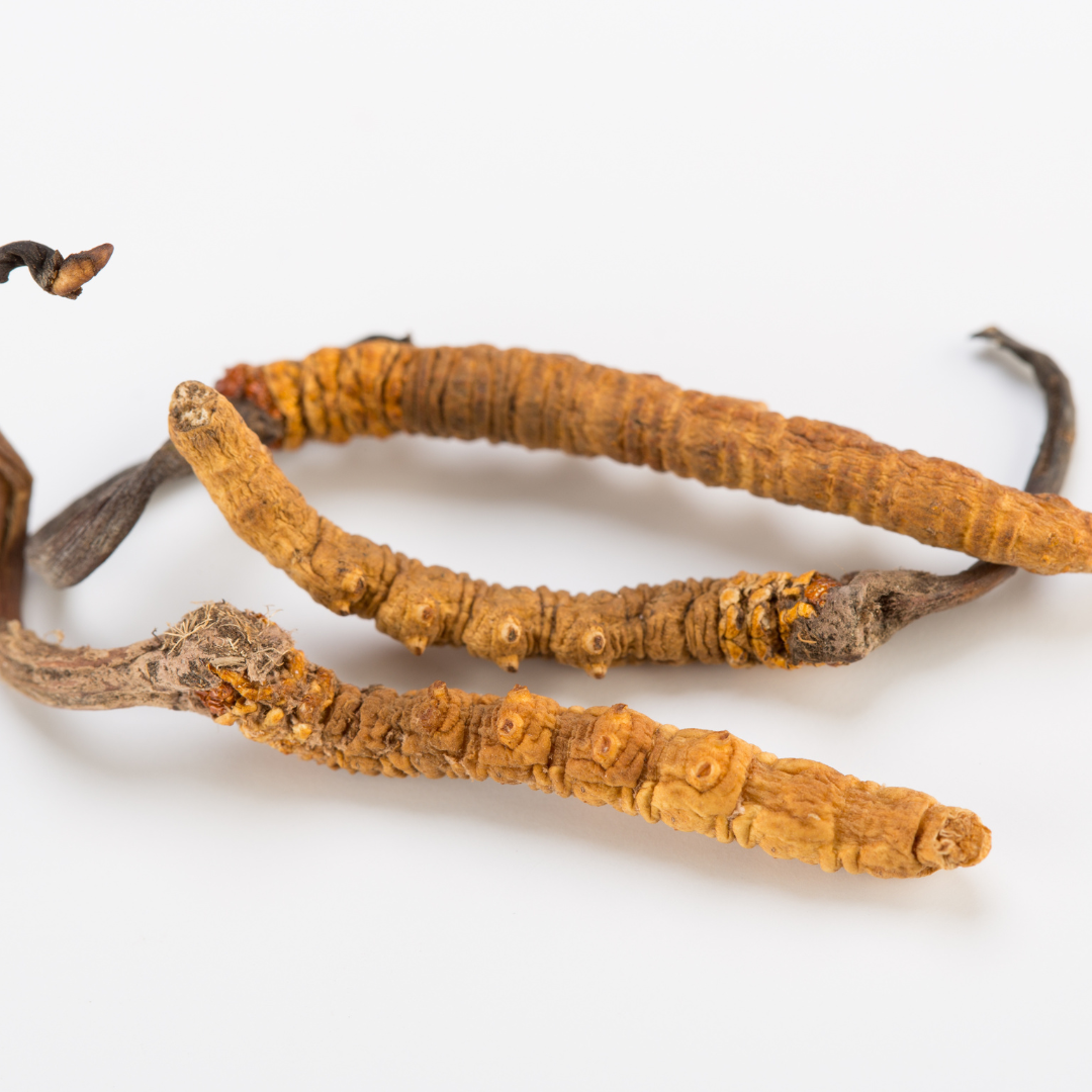 Yartsa gunbu