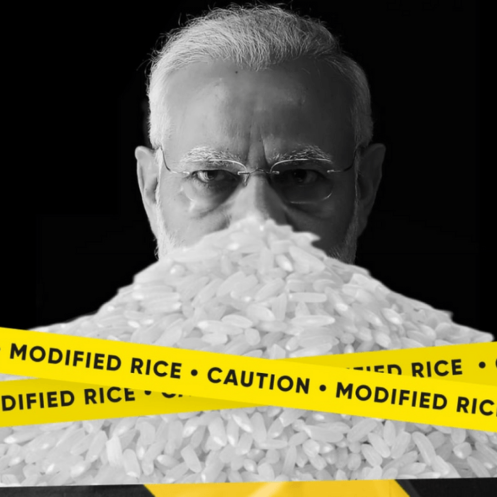 reporter collective report on fortified rice 