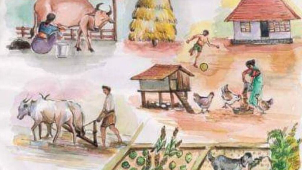 Vedic natural farming 