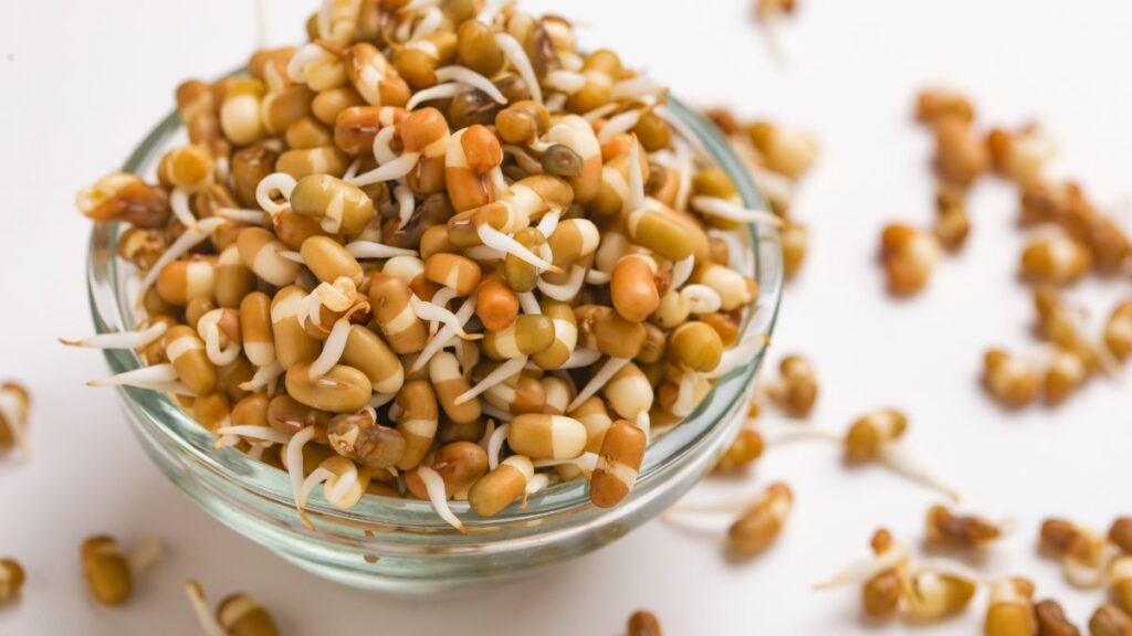 sprouted grains and pulses