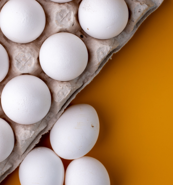 egg