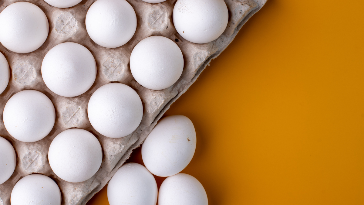 egg