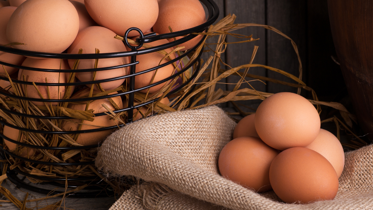eggs
